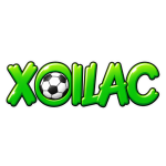 Icon logo